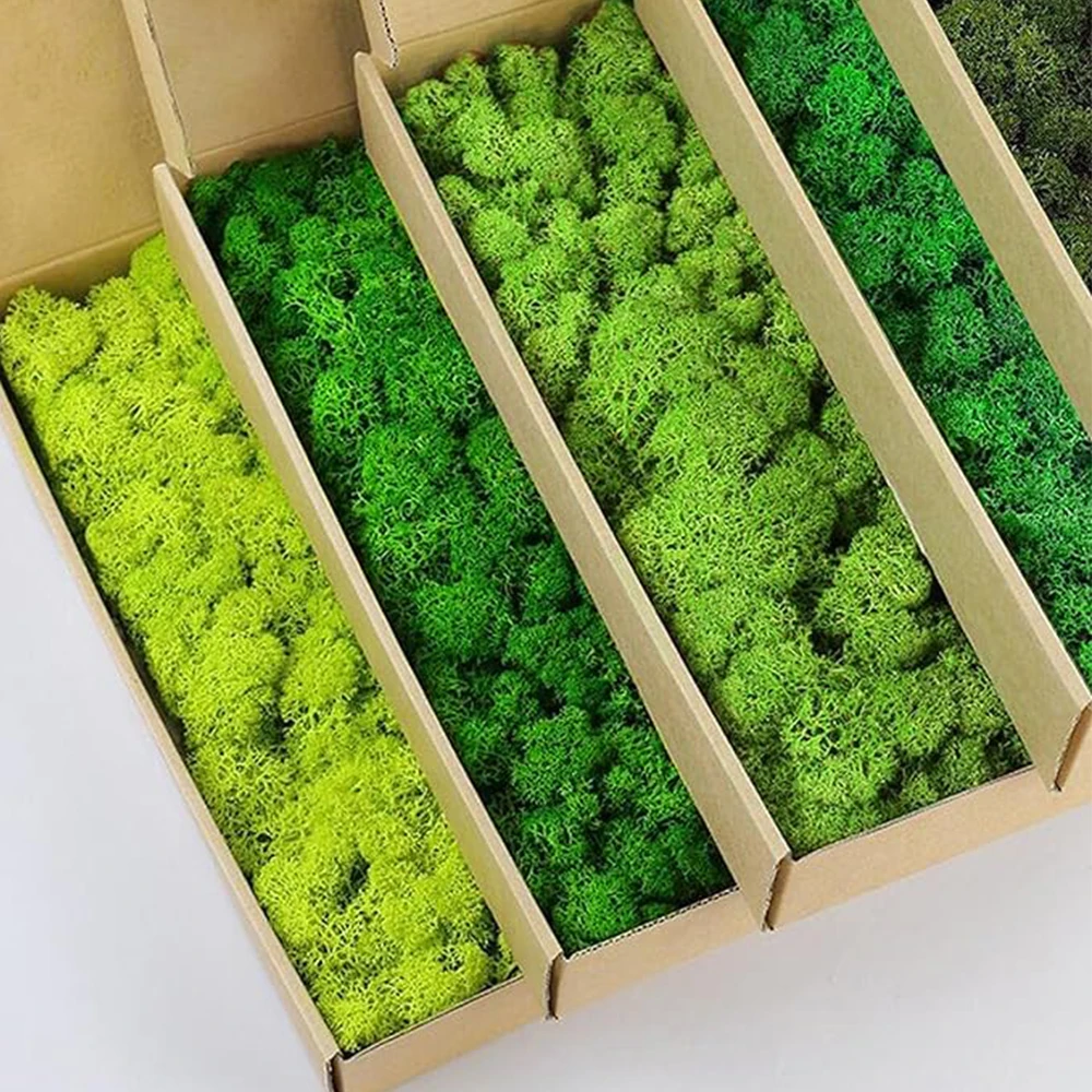 Sphagnum Moss Dry - 20-200G Tanaman Hijau Buatan Rumput Palsu