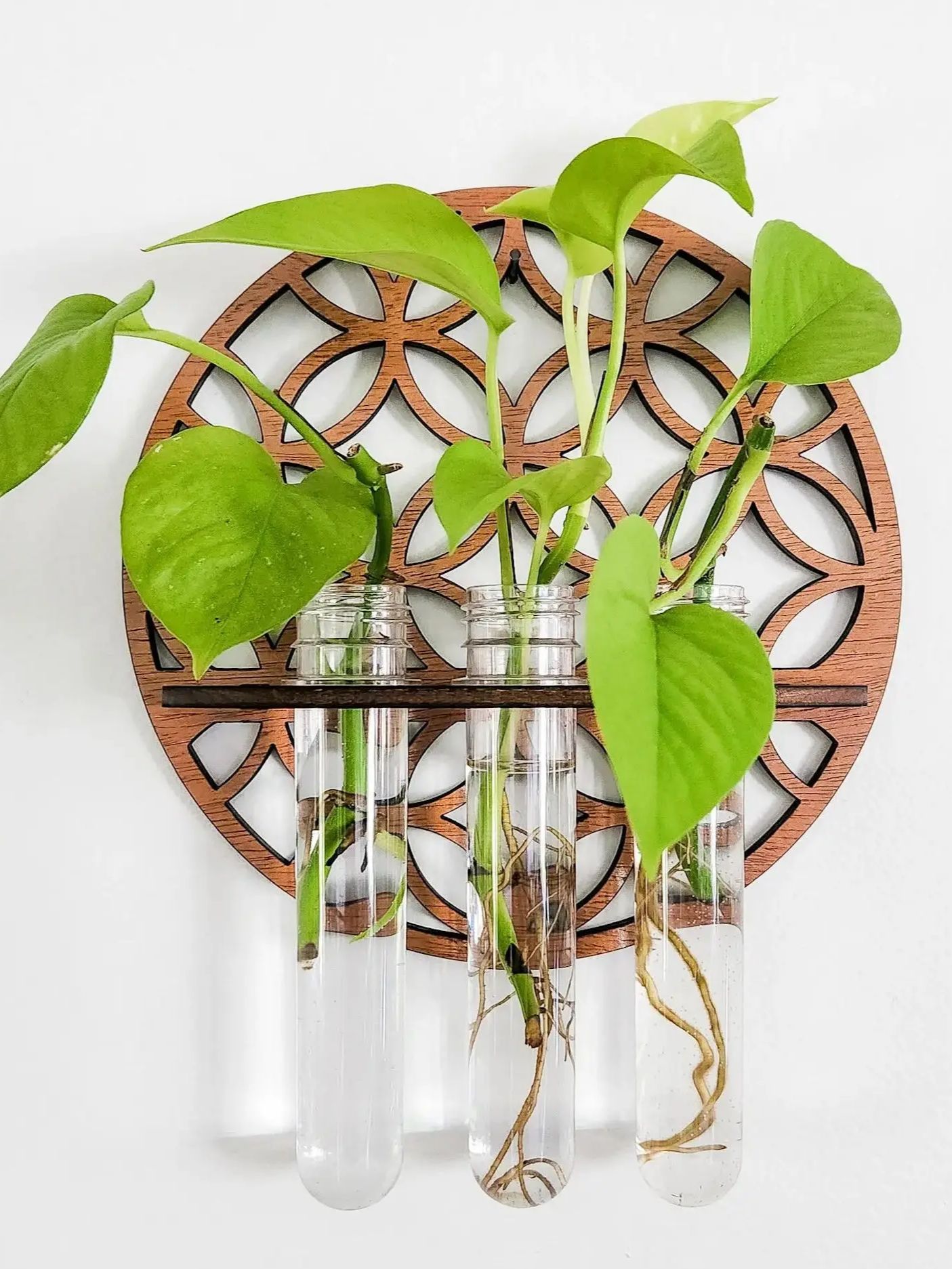 Propagation Station Vase - Rak pot dinding taman, gantungan tanaman