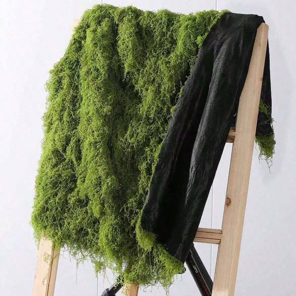 Sphagnum Moss Dry - 1*1M Lumut Palsu DIY Kerajinan Rumput