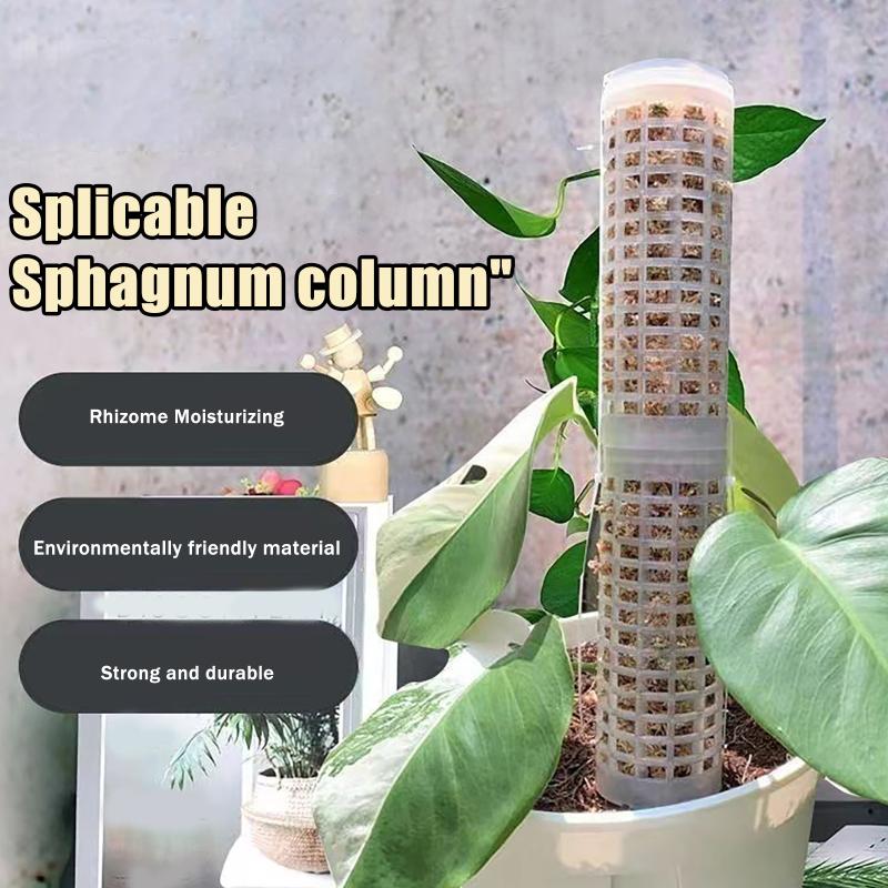 Sphagnum Moss Dry - 6Pcs Tiang Lumut Plastik Penyangga Tanaman