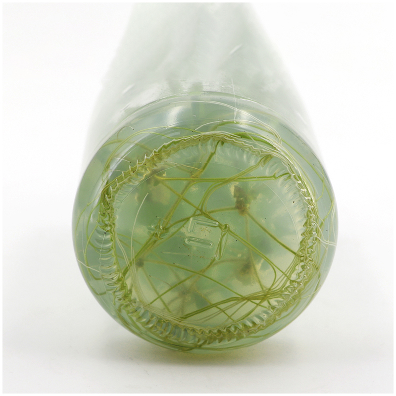 MS Medium Tanpa Agar Atau Sukr - Agar Tissue Culture ulasan dan harga