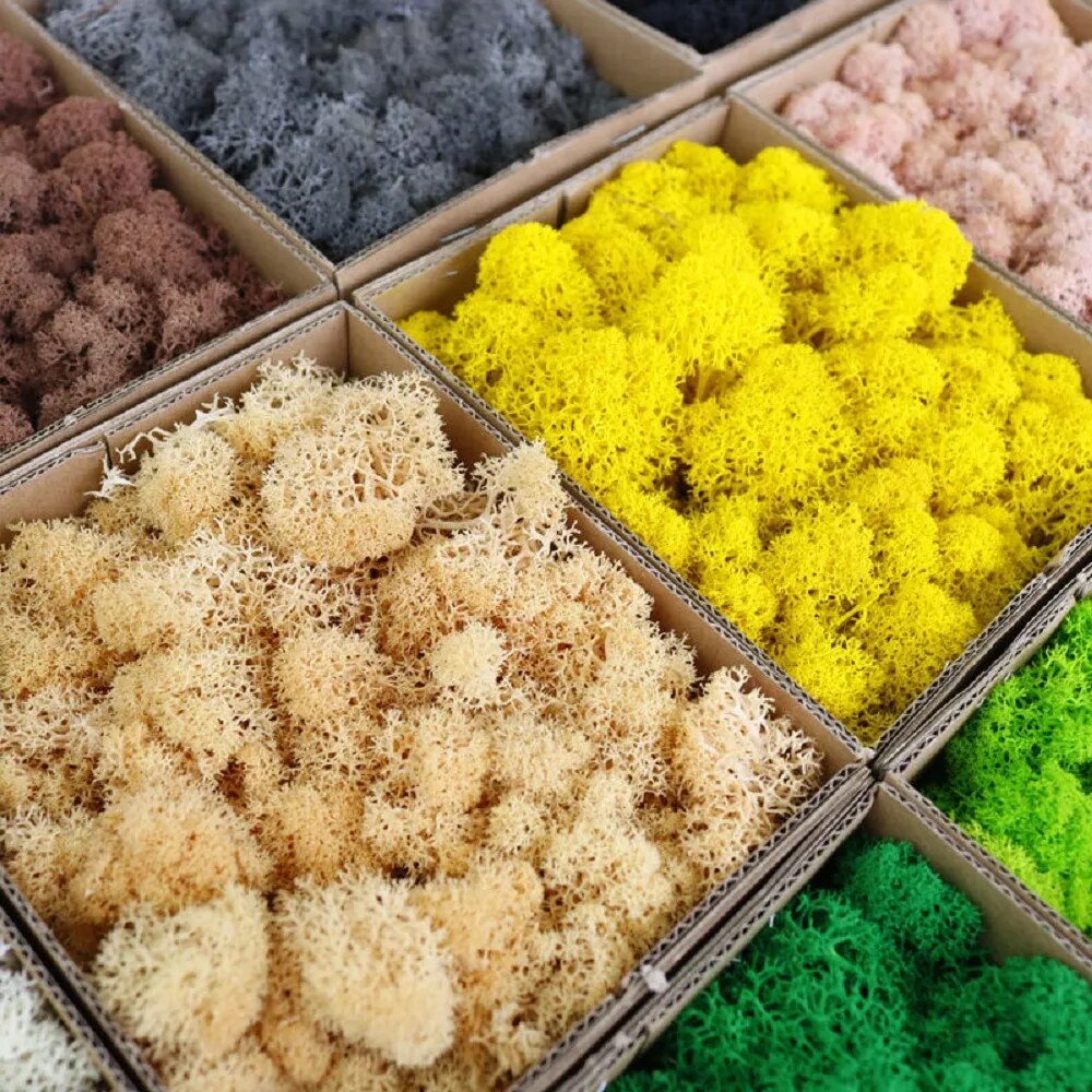 Tanaman hijau buatan, Lumut ke - Sphagnum Moss Dry ulasan dan harga