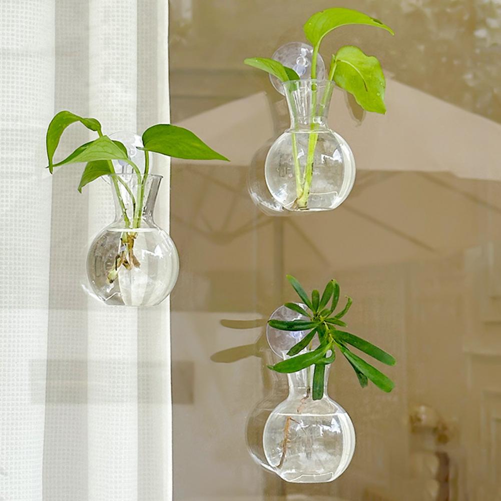 Vas Tanaman Jendela, Penyangga - Propagation Station Vase ulasan dan harga