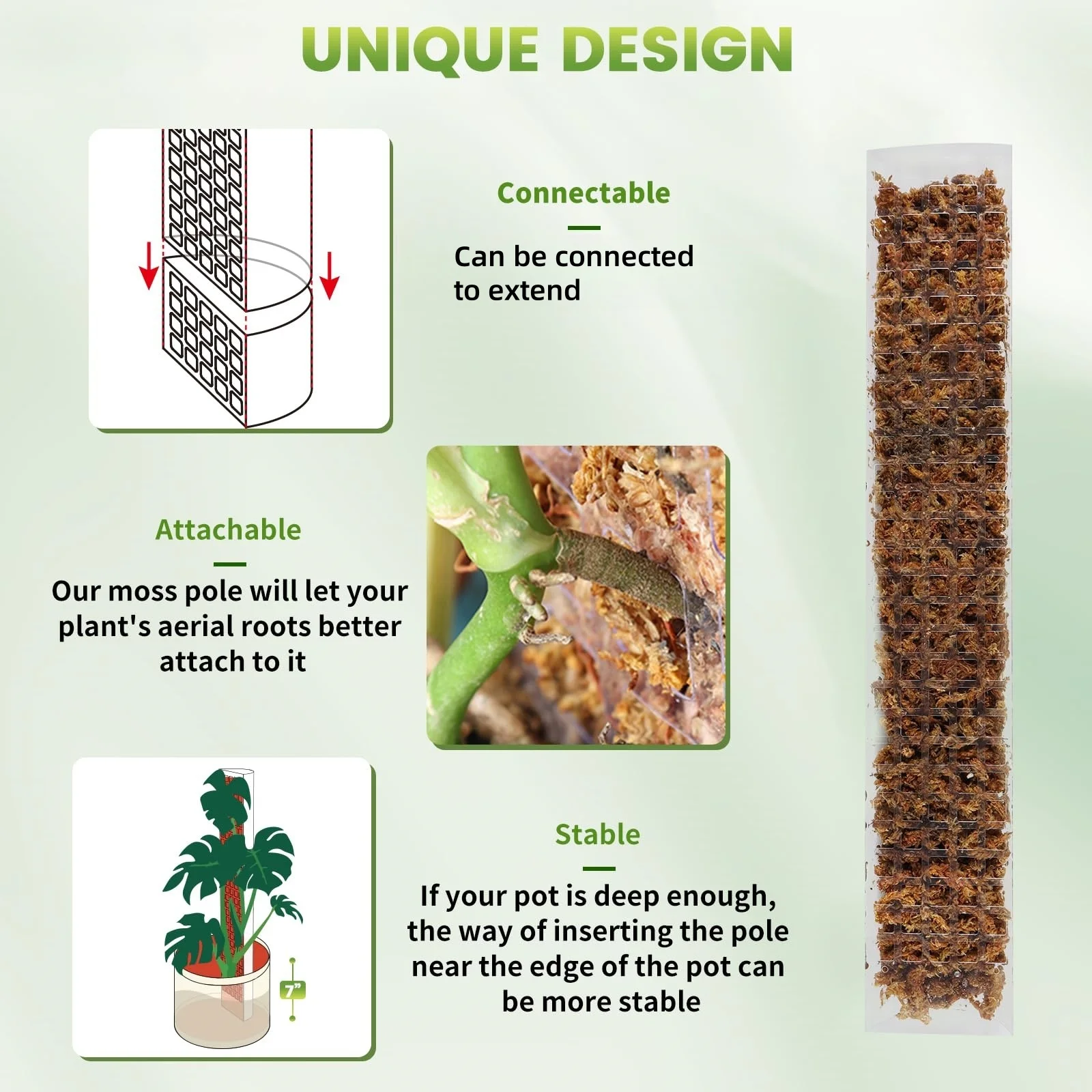 Tiang Lumut Plastik 24in/36in/ - Sphagnum Moss Dry ulasan dan harga