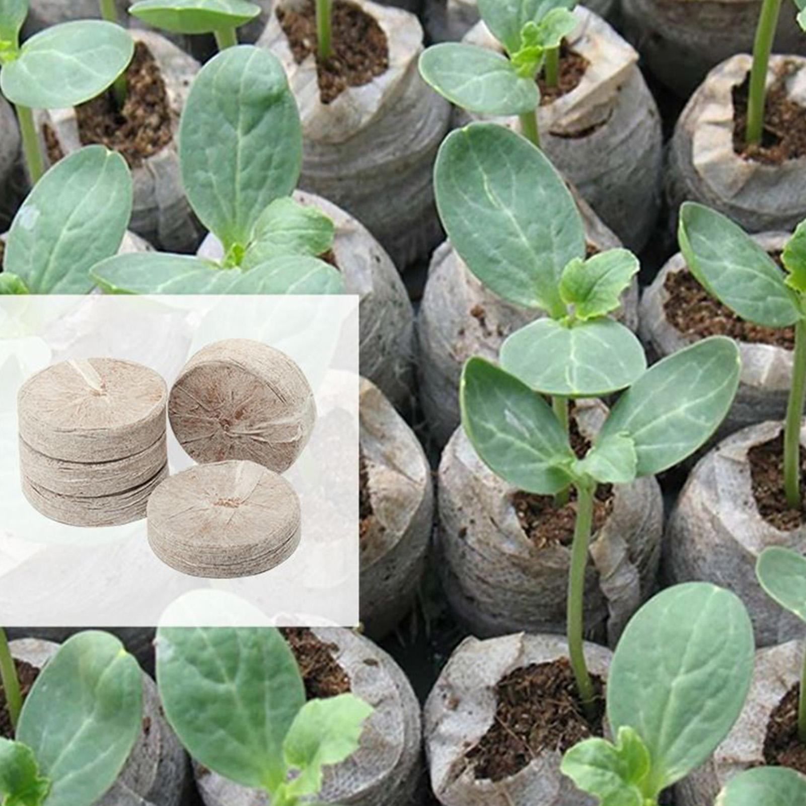 100 Baki Campuran Tanah untuk  - Peat Pellet Tray ulasan dan harga