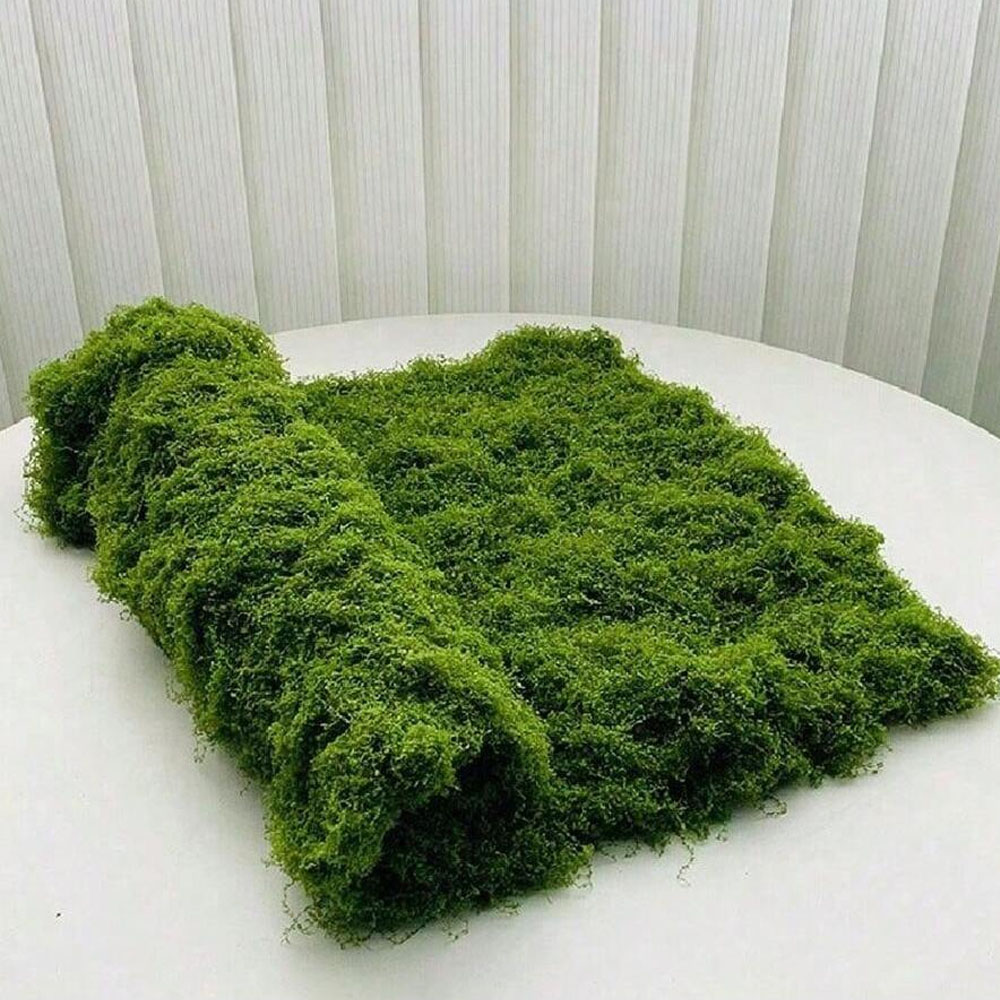 1*1M Lumut Palsu DIY Kerajinan - Sphagnum Moss Dry ulasan dan harga
