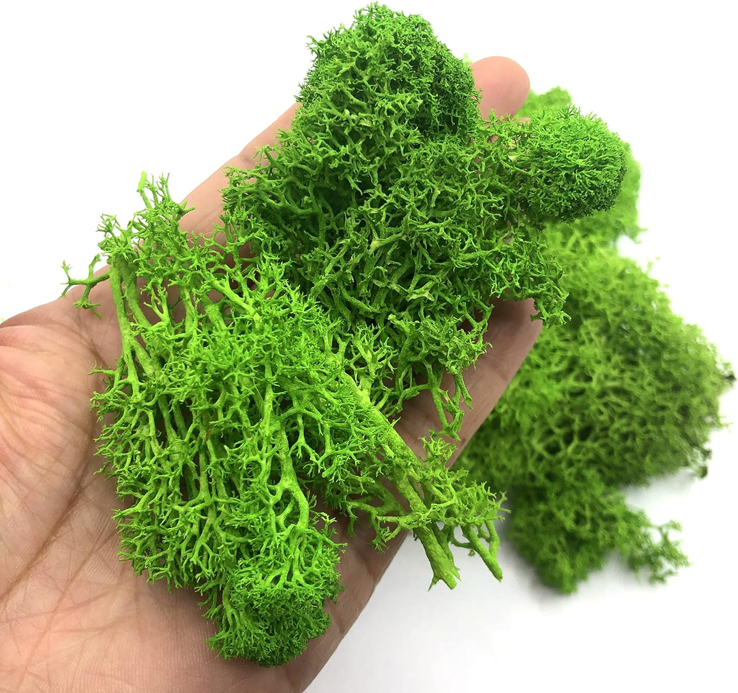 Tanaman hijau buatan 200g, ker - Sphagnum Moss Dry ulasan dan harga