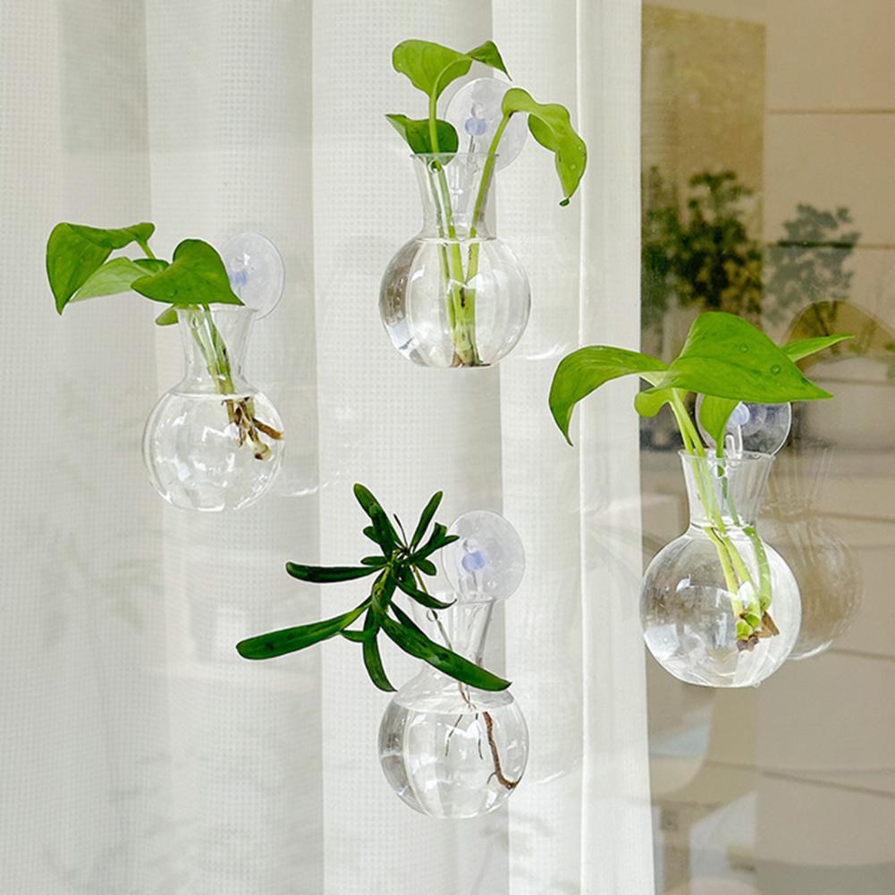 1/2/3/4/6/8 Buah Bohlam Perban - Propagation Station Vase ulasan dan harga