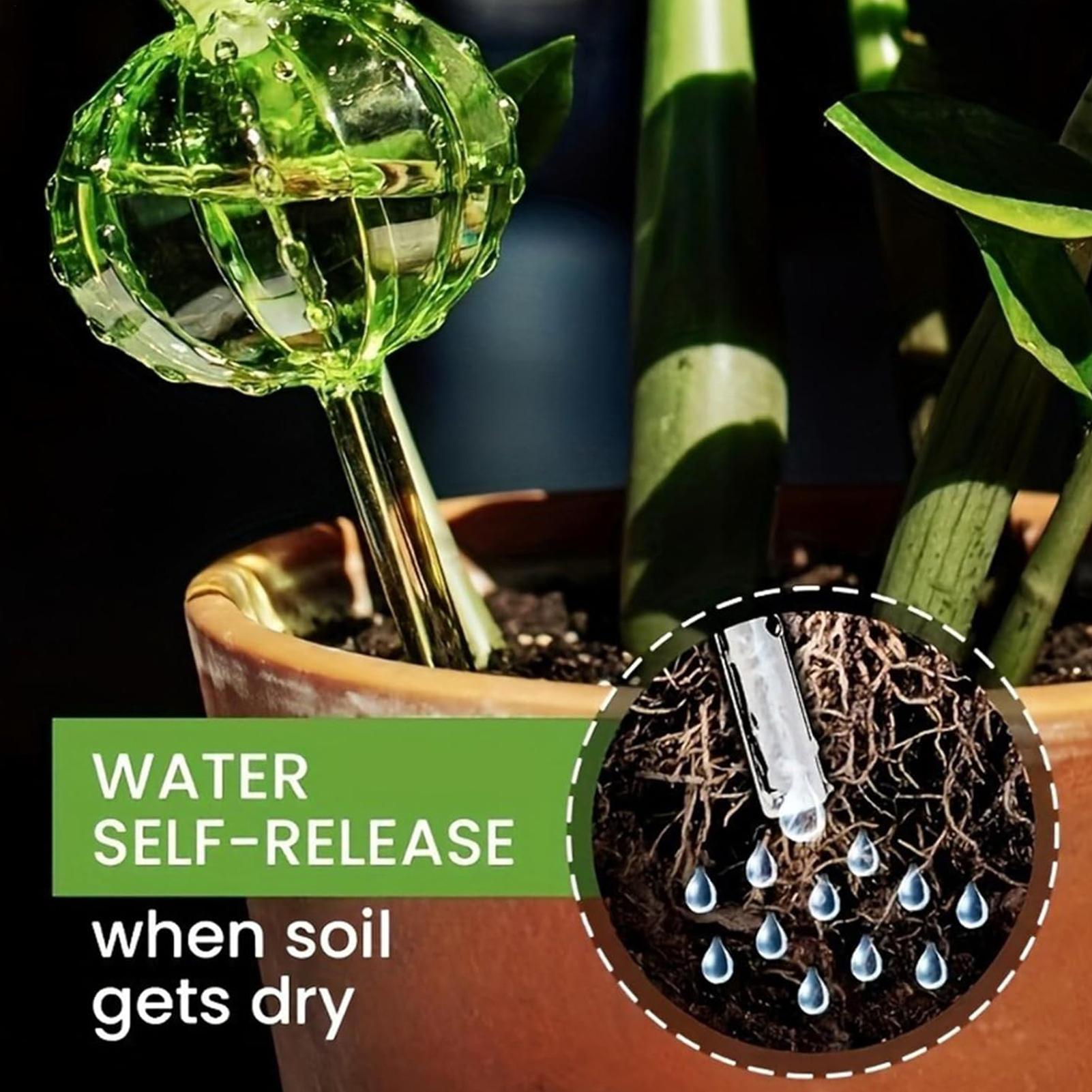 Penyiram Tanaman Otomatis 3 Bu - Self Watering Insert ulasan dan harga