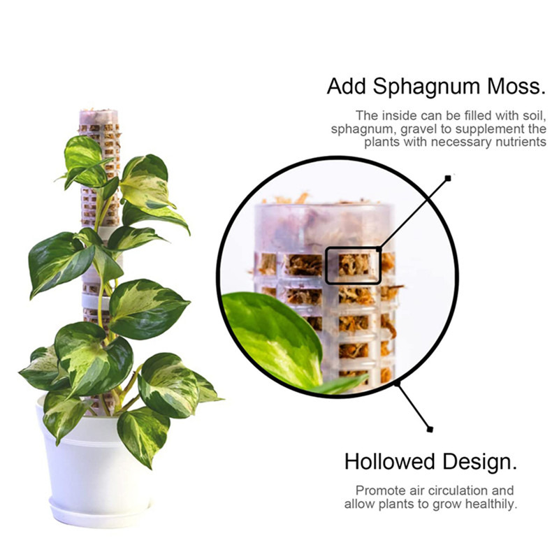 Tongkat Penyangga Tanaman Mera - Sphagnum Moss Dry ulasan dan harga