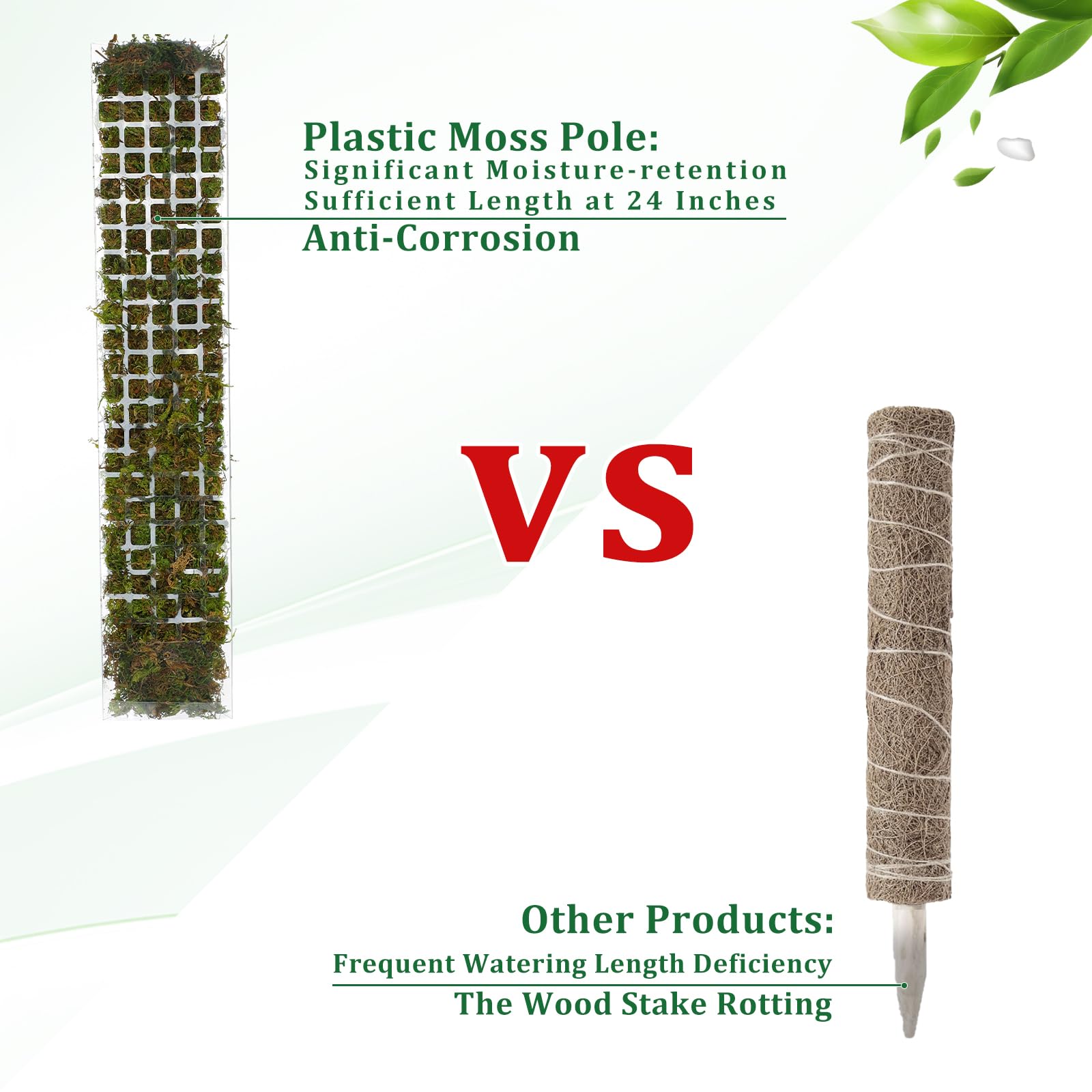 2/4/6 buah tongkat lumut tanam - Sphagnum Moss Dry ulasan dan harga