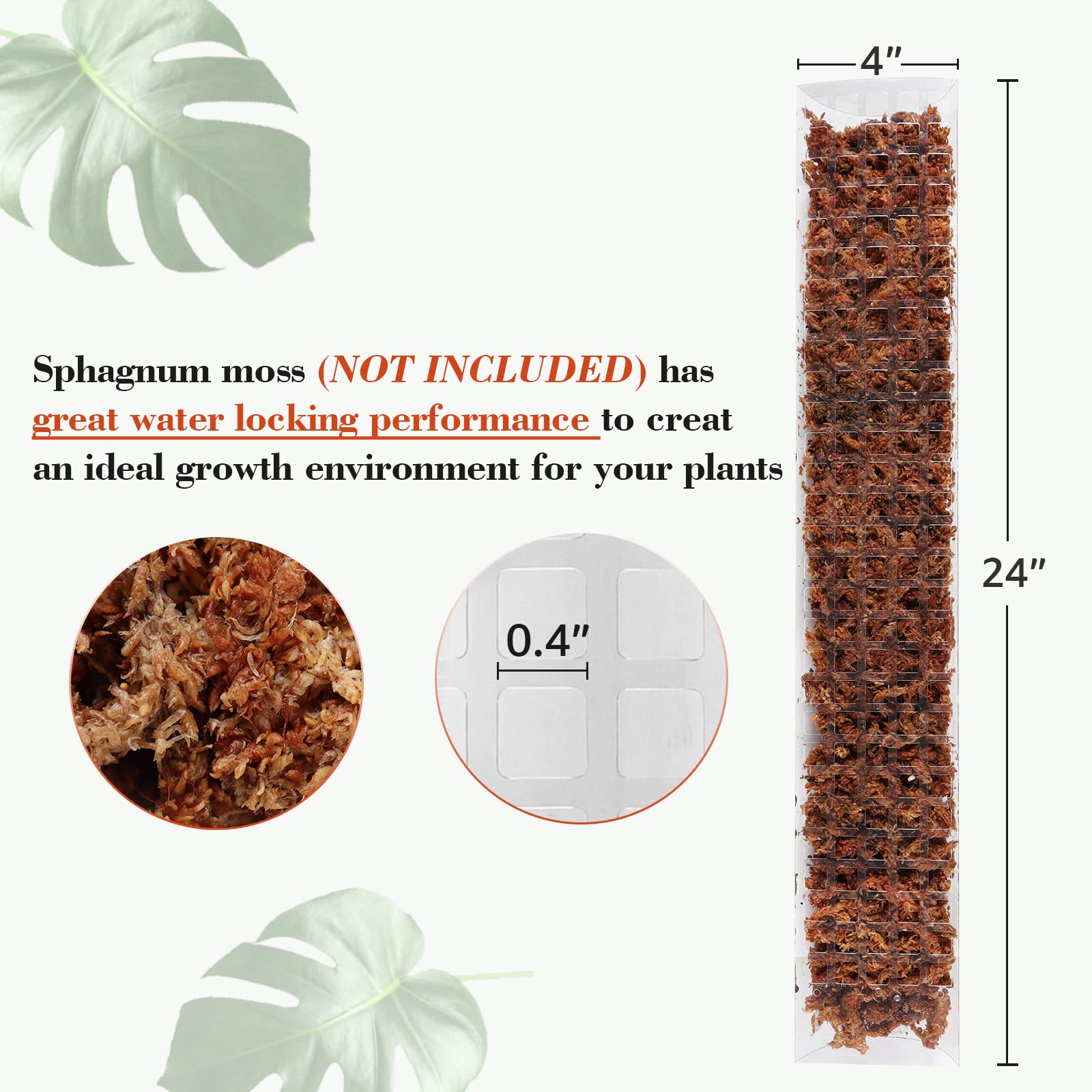 2/4/6 buah tongkat lumut tanam - Sphagnum Moss Dry ulasan dan harga
